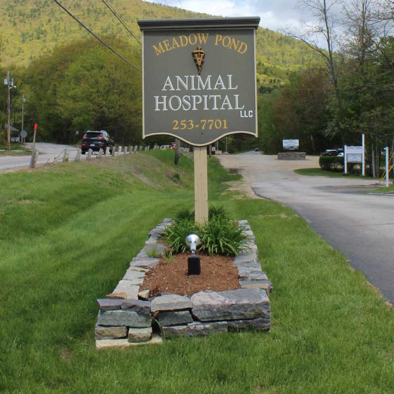 Moultonborough Pet Hospital