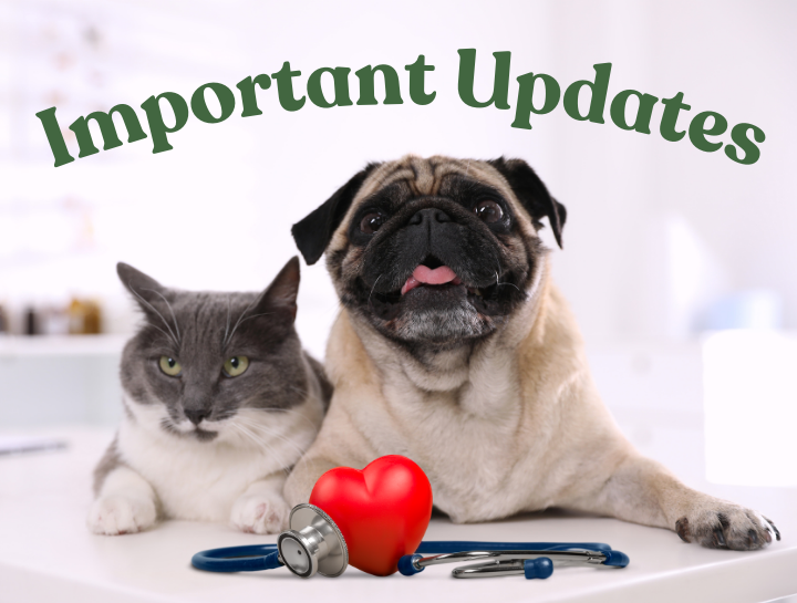 Important Clinic Updates!